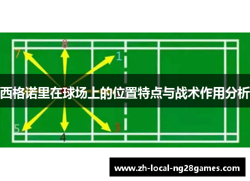 西格诺里在球场上的位置特点与战术作用分析