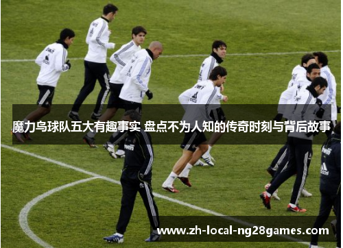 魔力鸟球队五大有趣事实 盘点不为人知的传奇时刻与背后故事