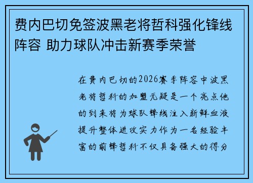 费内巴切免签波黑老将哲科强化锋线阵容 助力球队冲击新赛季荣誉