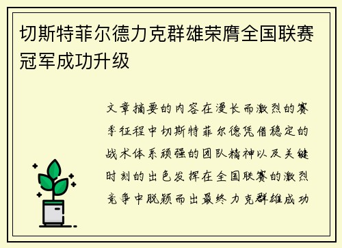 切斯特菲尔德力克群雄荣膺全国联赛冠军成功升级